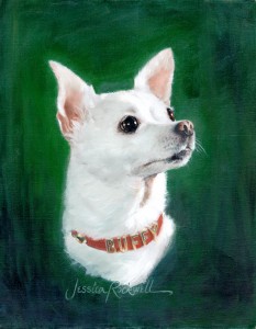 Custom Dog Oil Portrait of White Chihuahua